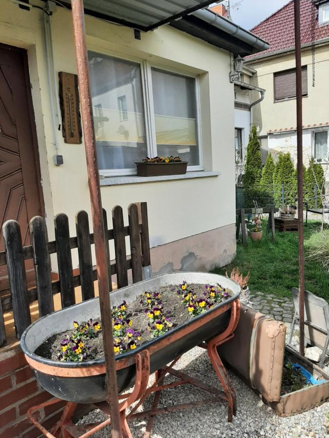 Apartment Sorgenfrei Капут Екстер'єр фото